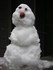 This is Lumpy the snow dude.  I played in my first snow ever and created Lumpy.  He rocks.  I love SNOW!