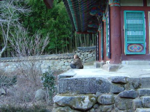 Listening to the voice of the guiding spirit and the sound of the bamboo growing at Donghwasa.