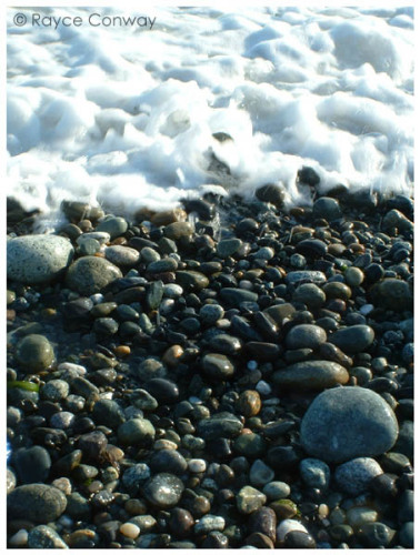 Taken at the beach near Fort Casey on a short road trip to some islands in the Puget Sound.