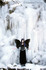 Taken up in the cascade mountains at a frozen waterfall. Model is L3XX.