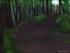 The Path to Tir Na N0g, the Land of the Young.  My first acrylic as well. :)