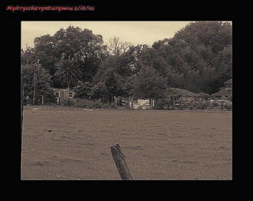 This is what I wake up to every morning, plus cows.  Moo.