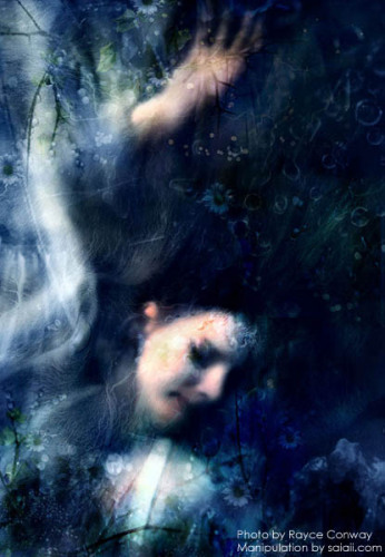 I sent the Rose Underwater image to a few digital artist friends. Saiaii from www.saiaii.com sent me this manipulation of the image.