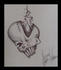 infant skull